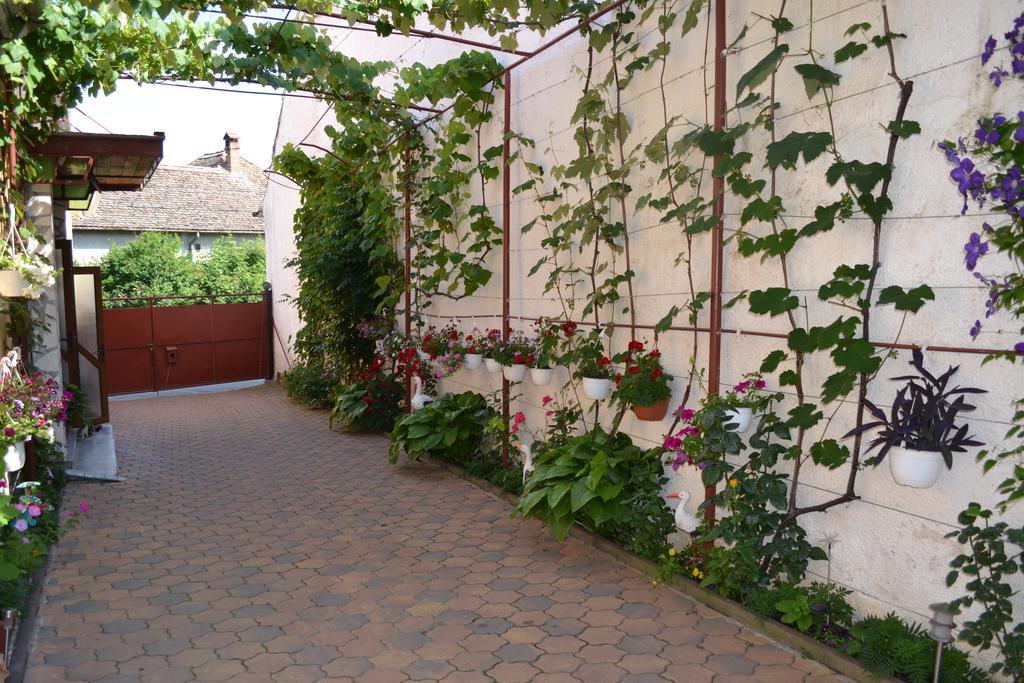 Privatunterkunft Casa Maria *